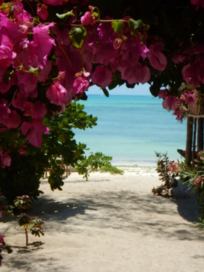 Changu Beach Resort Jambiani  Εξωτερικό φωτογραφία